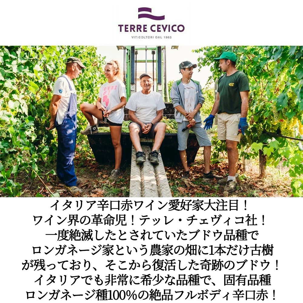 ディスカバー イタリア ロンガネージ ルビコーネ 2024 テッレ