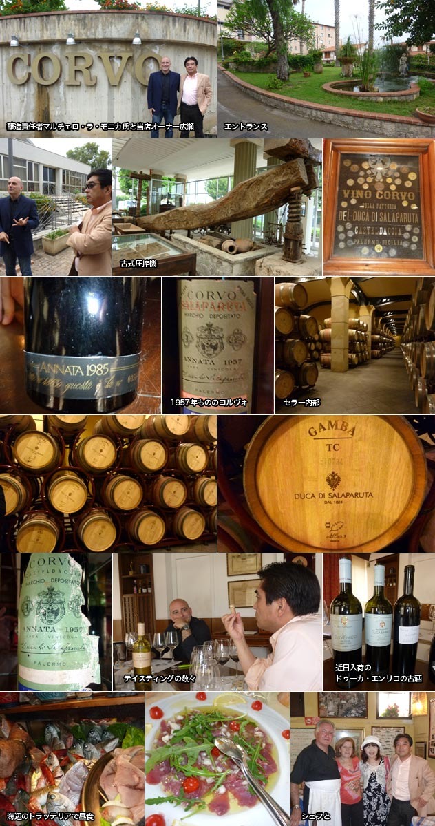 コルヴォ ビアンコ 2021年 ドゥーカ ディ サラパルータ社元詰 IGT シチリア ビアンコ :872727:うきうきワインの玉手箱 通販  