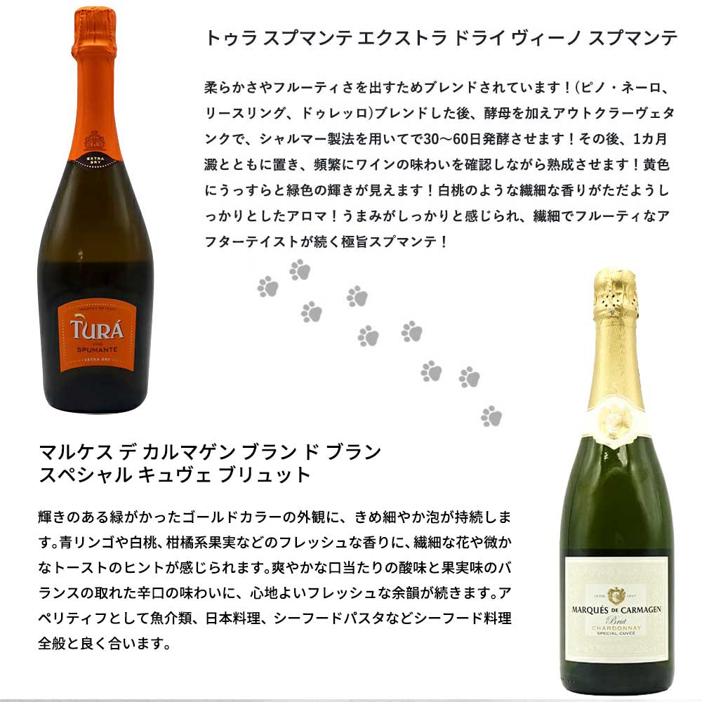 送料無料】うきたまシリーズ スパークリング12本 ワインセット