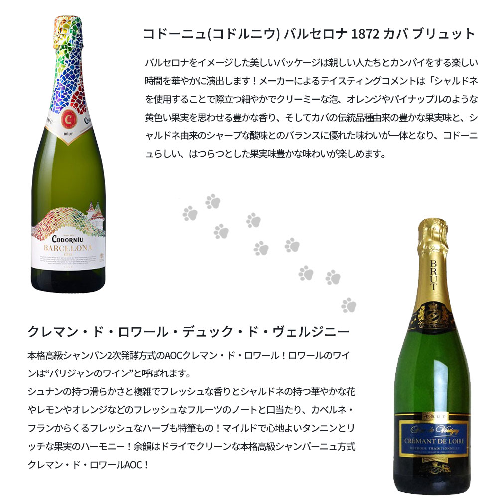 送料無料】うきたまシリーズ スパークリング12本 ワインセット