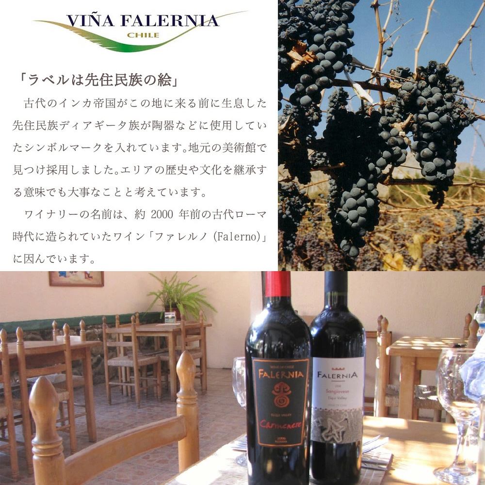 ビーニャ ファレルニア オレンジワイン ペドロ ヒメネス レセルバ 2025