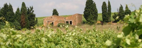 エスカル ピノ・ノワール 2023 年 750ml (フランス ラングドックルーション 赤ワイン)