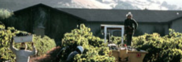 超限定ハートラベル クロ デュ ヴァル カベルネ ソーヴィニヨン ナパ