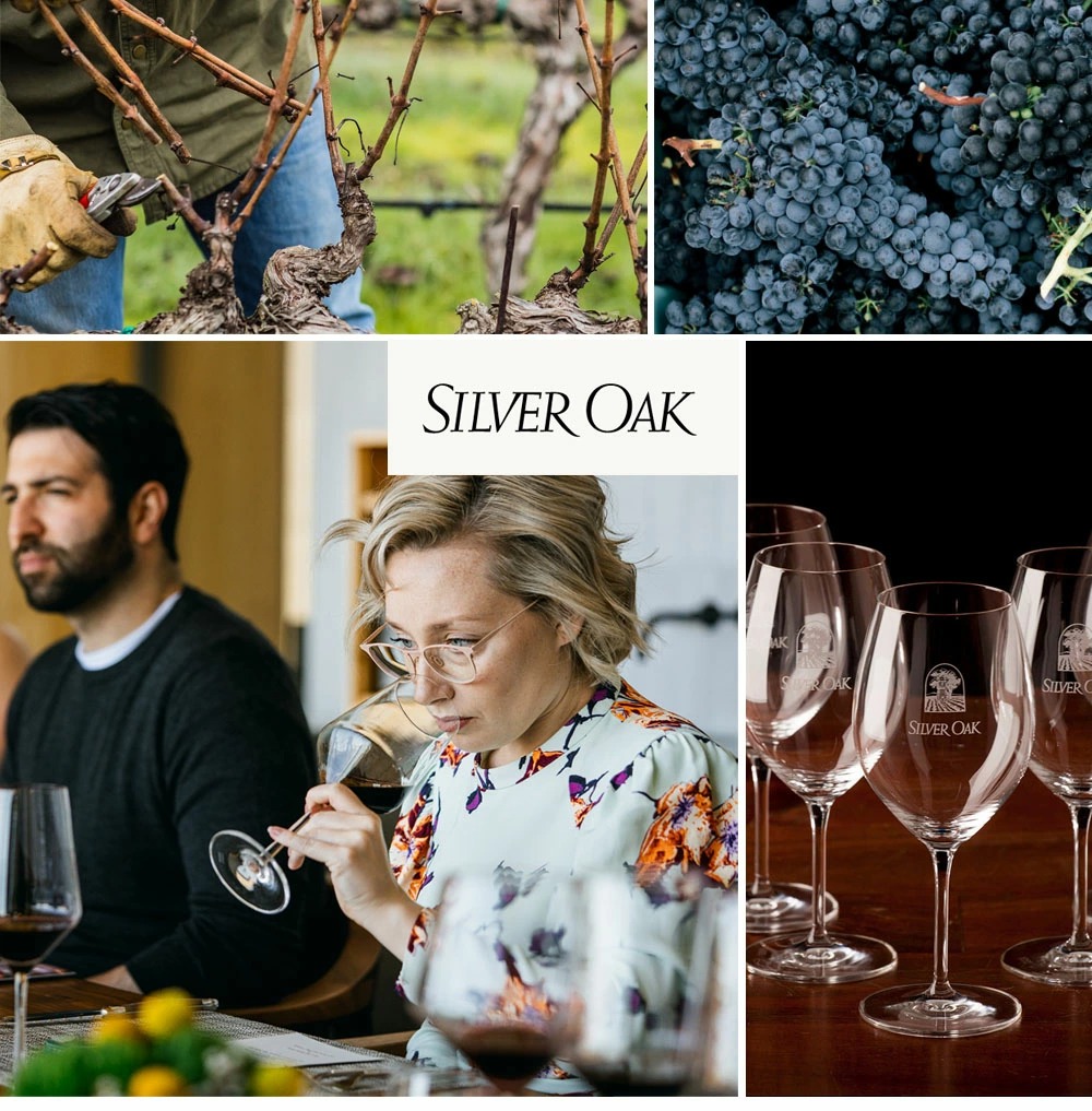 シルバー (シルヴァー) オーク ナパ ヴァレー カベルネ ソーヴィニヨン