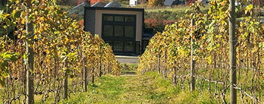 ドメーヌ ブレス Ito 〜糸〜 2023 北海道余市郡仁木町 自社畑産の