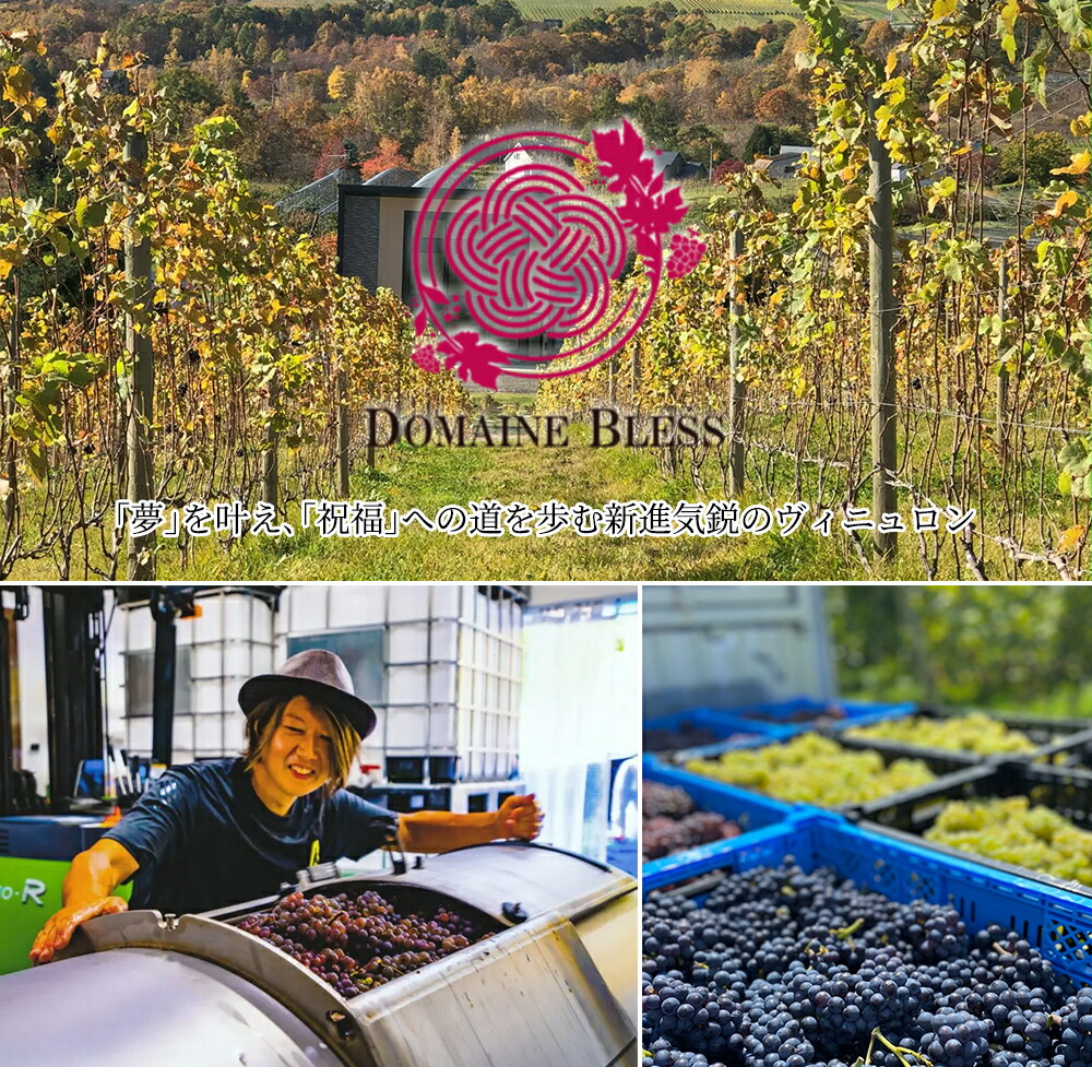 ドメーヌ ブレス Ito 〜糸〜 2023 北海道余市郡仁木町 自社畑産の
