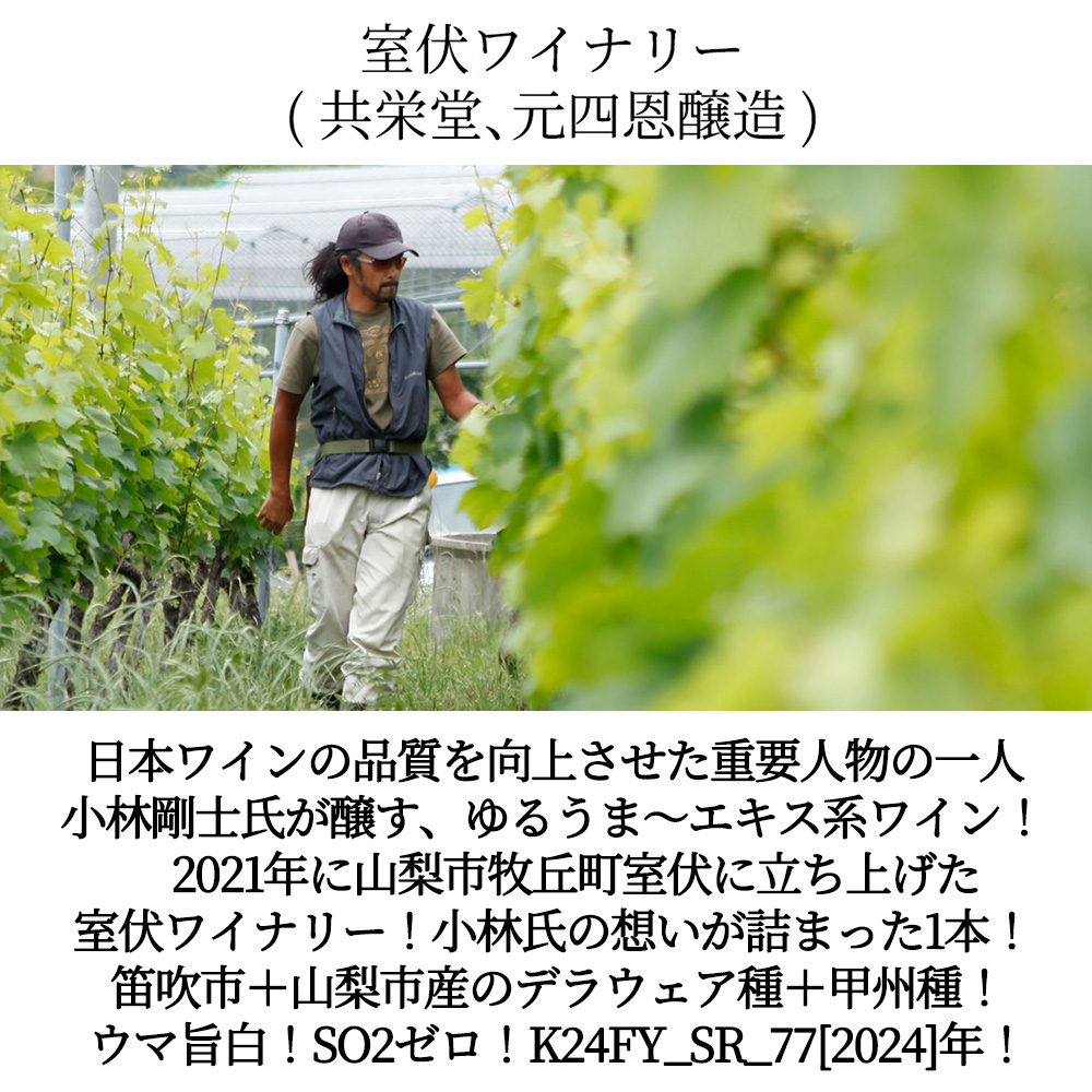 室伏ワイナリー (共栄堂、元四恩醸造) K24FY_SR_77 2024 山梨県