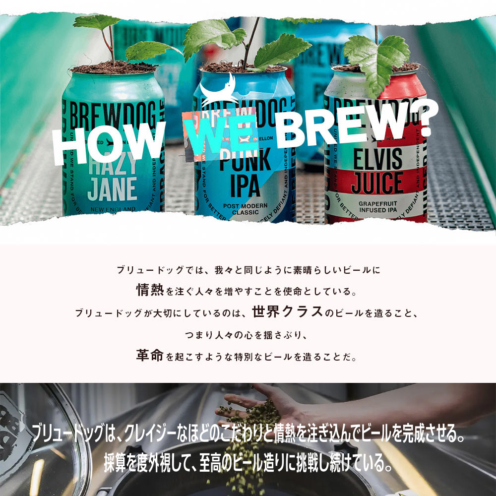 送料無料 コラボTシャツ1枚付】ブリュードッグ HAZY JANE 350ml×24缶