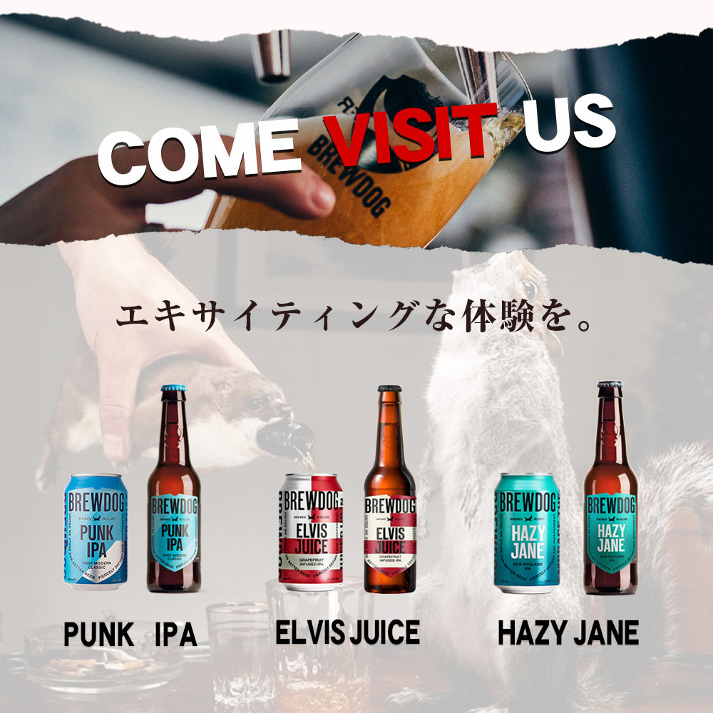 送料無料 コラボTシャツ1枚付】ブリュードッグ HAZY JANE 350ml×24缶