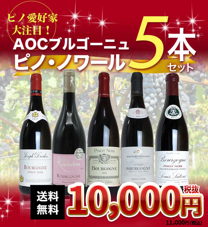 第2弾】【送料無料】ピノ愛好家大注目！AOCブルゴーニュ ピノ ノワール5本飲み比べセット 有名メゾンも含むピノ ノワール(ブルゴーニュ ルージュ) 飲み比べ :2400000817550:うきうきワインの玉手箱 - 通販 - Yahoo!ショッピング