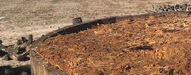 【正規品】メスカル アハル セニソ アガヴェ 750ml 40%