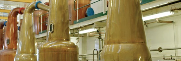 【超激レア 非売品】グレングラント テイスティングキット 箱入 正規】グレングラント アルボラリス テイスティンググラス