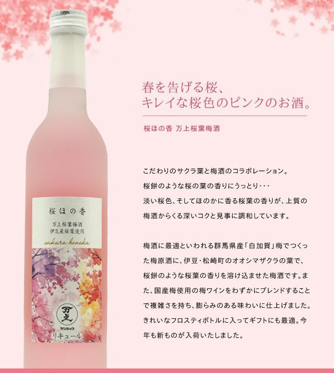 桜ほの香 万上桜葉梅酒 500ml （リキュール） GW0501 : うきうきワイン