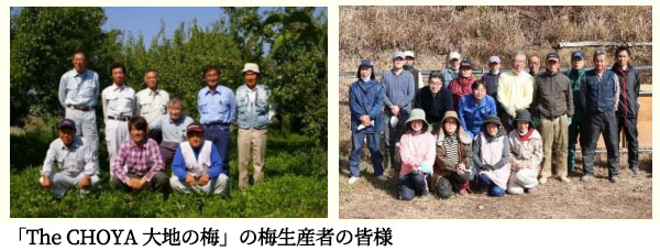 The CHOYA 大地の梅 リキュール 本格梅酒 紀州有機梅100% JONA(ジョナ)認証取得 BIO認証 自然派 オーガニック ザ チョーヤ