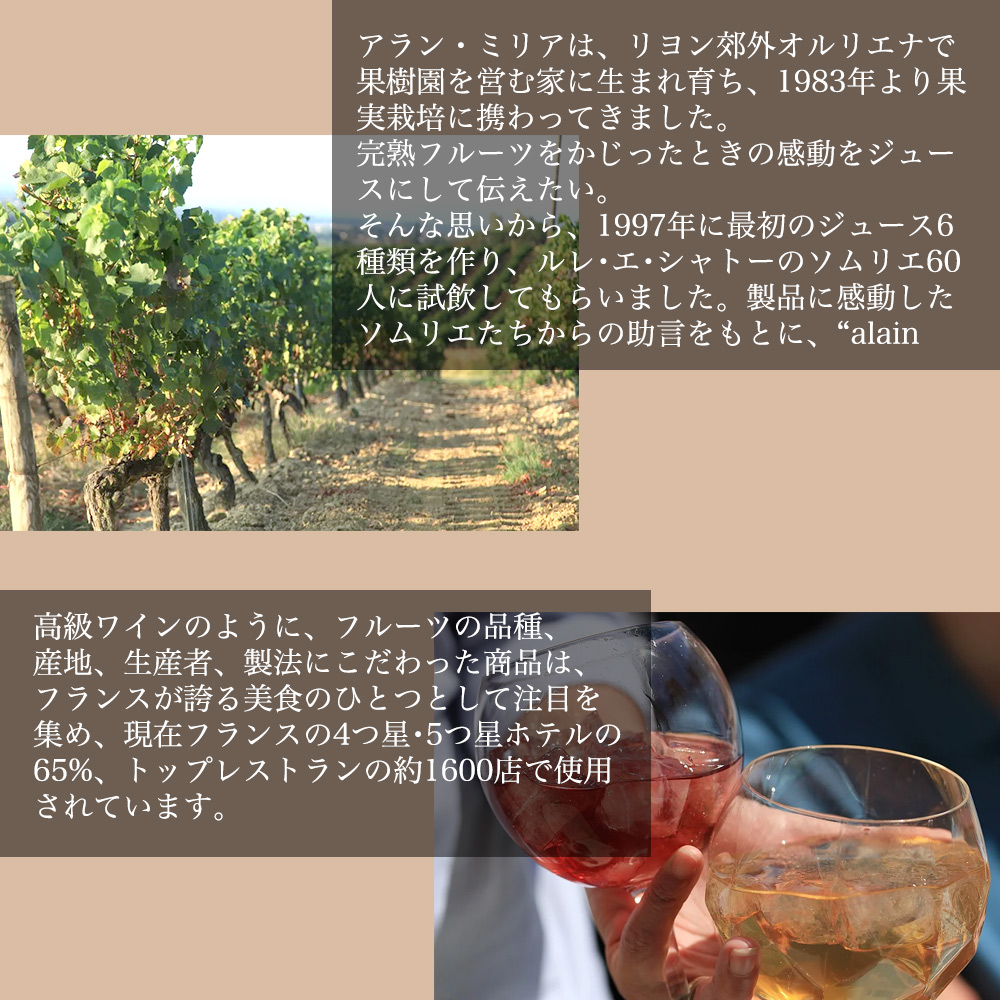アラン ミリア コックス種 アップルジュース 330ml×12 ノン