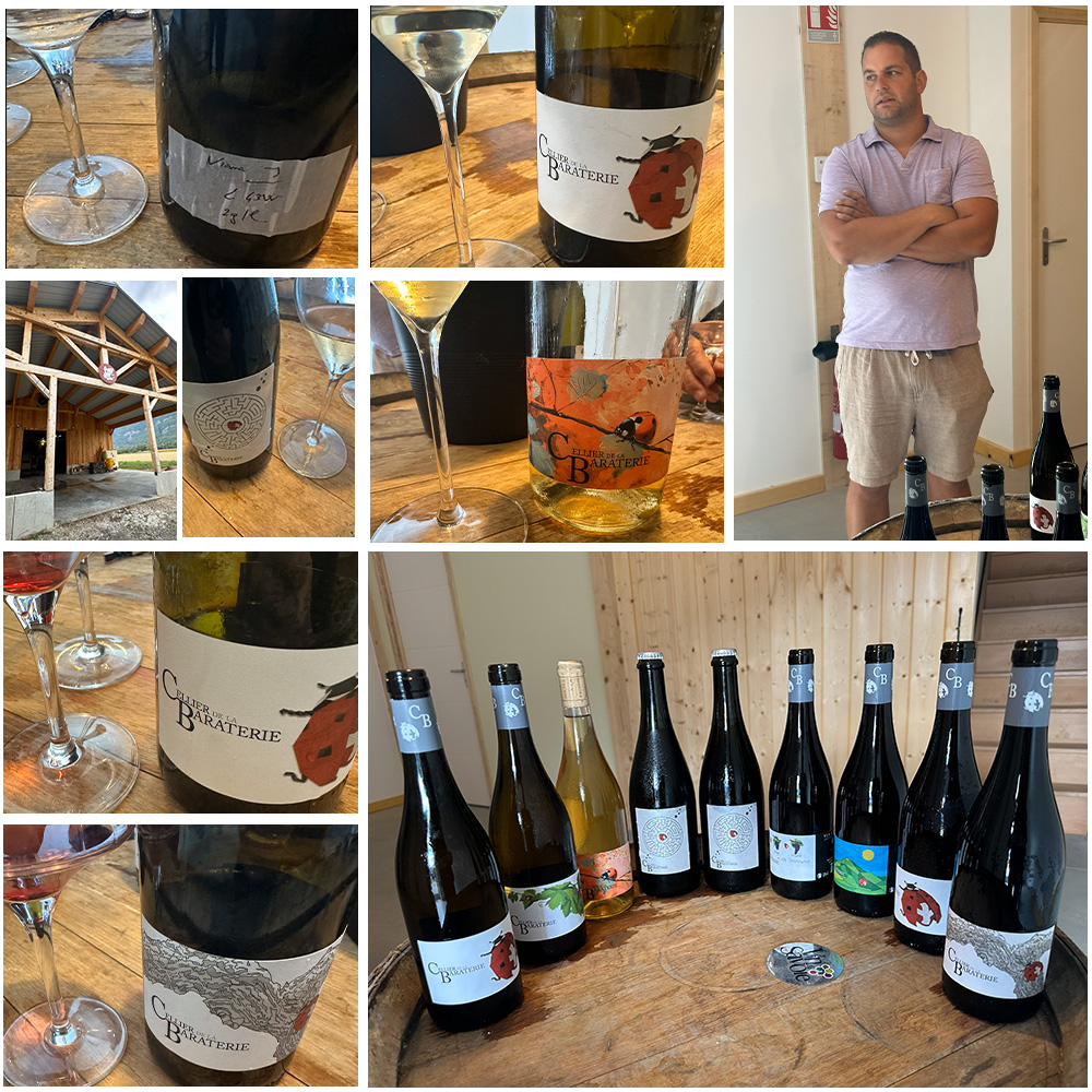 ブノワライエ　ロゼ・ド・マセラシオン2010 HOT，人気SALE ブノワ ライエ ロゼ ド マセラシオン