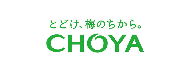 好評お得 CHOYA 梅酒 うきうきワインの玉手箱 - 通販 - PayPayモール ゴールドエディション 500ml 金箔入り リキュール  通販超激安 - redprolid.org