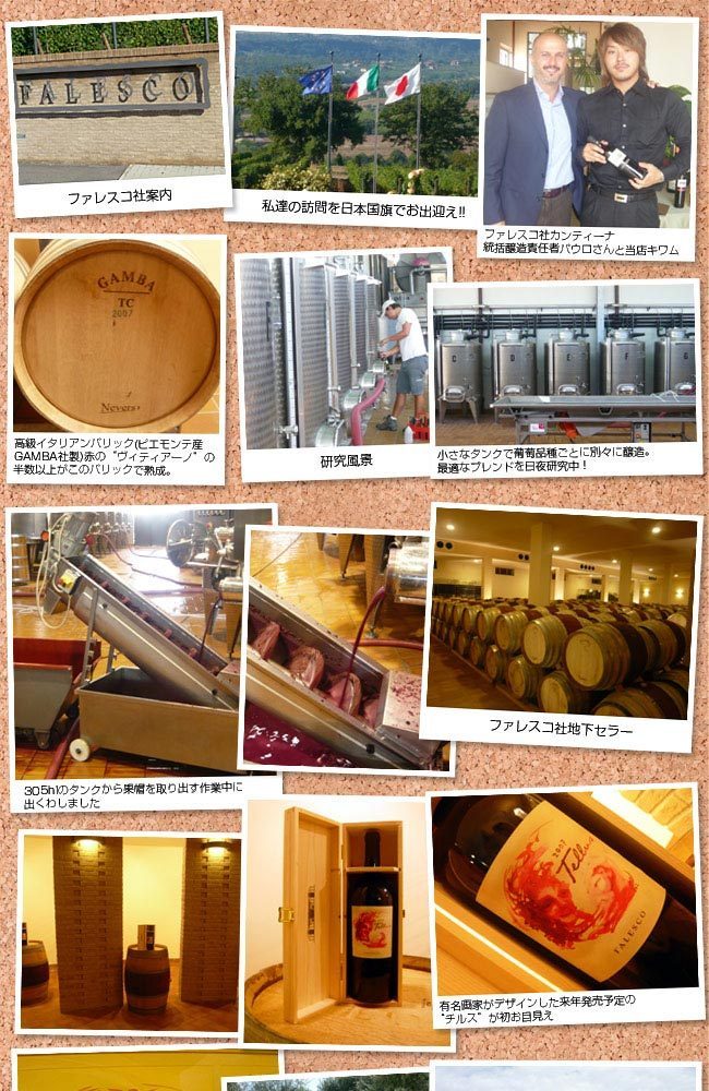 Falesco Montiano 2018ヴェロネッリ99ポイント2本セット モンティ