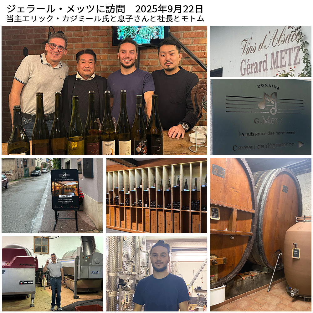 アルザス ピノ ノワール ヴィエイユ ヴィーニュ ジェラール メッツ