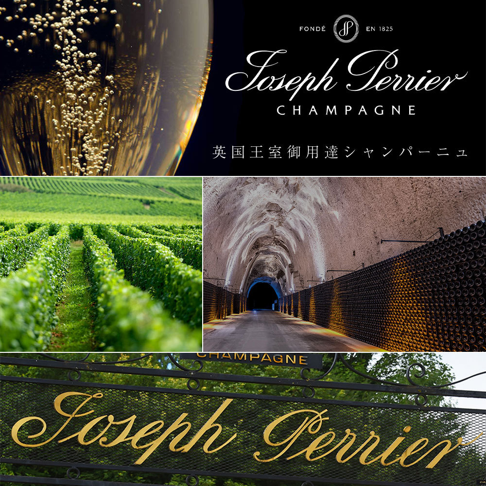 再入荷好評 ジョセフ 専用箱付 ハーフサイズ 375ml うきうきワインの玉手箱 - 通販 - PayPayモール ペリエ シャンパーニュ ブリュット キュヴェ ロワイヤル グラス2脚付きギフトセット 限定SALE送料無料