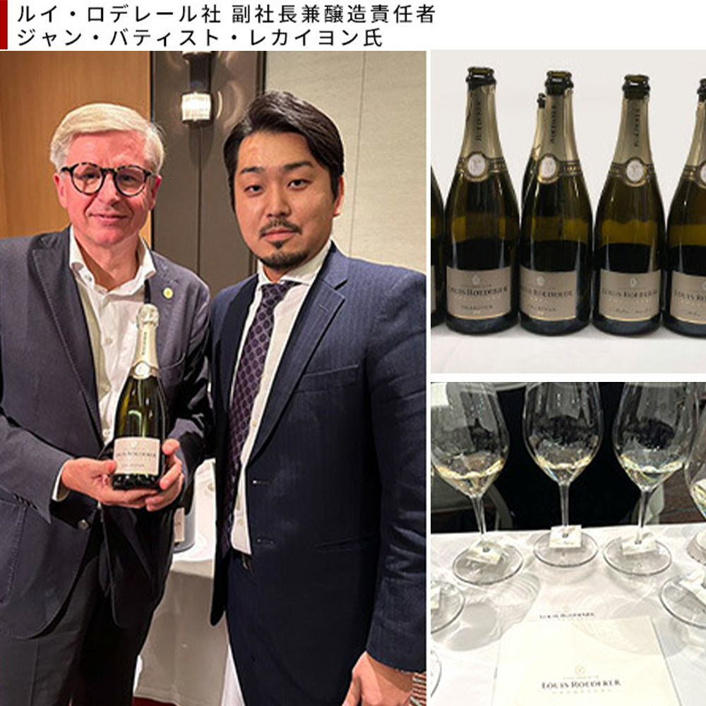 箱入り】ルイ ロデレール ブリュット ブラン ド ディスカウント ブラン