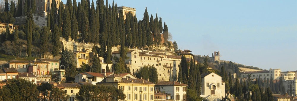 チ・シャルドネ 2024年 アルファ・ゼータ 750ml (イタリア 白ワイン)