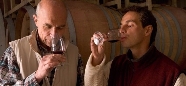 ハイド・ド・ヴィレーヌ イザベル ピノ・ノワール 2016年 ヴィレーヌ家