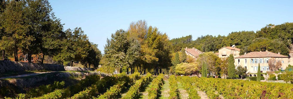 ストュディオ バイ ミラヴァル 2023 ミラヴァル社 ロゼ ワイン 辛口 正規品 サクラアワード2020年度 ゴールドメダル受賞酒