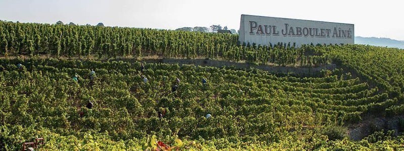 ポール ジャヴレ エネ ヴィオニエ 19年 750ml フランス ローヌ 白ワイン うきうきワインの玉手箱 通販 Paypayモール