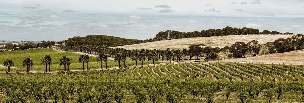 ッターズか ランリグ 2016年 トルブレック・ヴィントナーズ 750ml （オーストラリア 赤ワイン） 家飲み 巣ごもり 応援 うきうきワインの玉手箱 - 通販 - PayPayモール らかで
