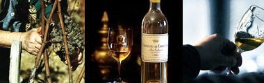 新品新作 シャトー・ド・ファルグ 家飲み 巣ごもり 応援 うきうきワインの玉手箱 - 通販 - PayPayモール 2005年 リュル・サリュース 750ml （ボルドー ソーテルヌ 白ワイン） 得価低価
