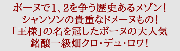 ボーヌ プルミエ クリュ 一級 クロ デュ ロワ 2018 ドメーヌ