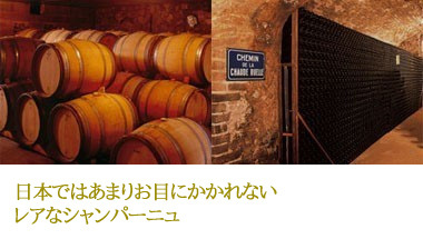 ラタフィア・ド・シャンパーニュ ジャニソン・バラドン シングルカスク 500ml (酒精強化ワイン)