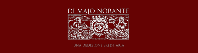 アリアーニコ・コンタド・リゼルヴァ 2015年 ディ・マーヨ・ノランテ 750ml （イタリア モリーゼ 赤ワイン） うきうきワインの玉手箱 - 通販  - PayPayモール