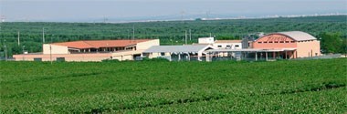 カステル デル モンテ ロゼ 2022年 リヴェラ社 （イタリア ロゼワイン）