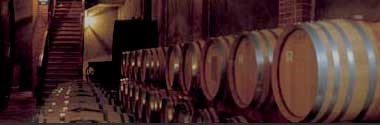 ワインにつ バローロ 巣ごもり うきうきワインの玉手箱 - 通販 - PayPayモール 1976年 ベルサーノ社 （アンティカ・ポデーレ・コンティ・デッラ・クレモジーナ） （赤ワイン・イタリア） 家飲み として