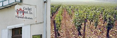 得価高評価 コルトン （ブルゴーニュ 赤ワイン） うきうきワインの玉手箱 - 通販 - PayPayモー グラン・クリュ クロ・デ・ヴェルジェンヌ モノポール 2013年 ドメーヌ・カシャ・オキダン・エ・フィス 750ml 即納超歓迎