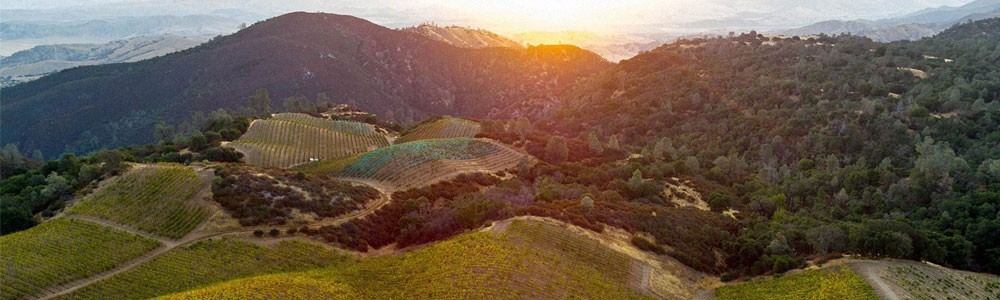 カレラ ライアン ヴィンヤード マウント ハーラン ピノ ノワール 2016
