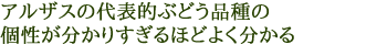 アルザス リースリング ロサケ キュヴェ ジュスティンヌ(特級)2004年 スペシャル デリバリー byフレデリック マロ 白ワイン