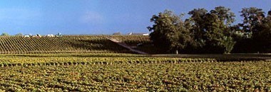 即納人気 シャトー・ラグランジュ 巣ごもり 応援 うきうきワインの玉手箱 - 通販 - PayPayモール 1998年 メドック格付第3級 AOCサンジュリアン （赤ワイン・フランス） 家飲み 最新作格安