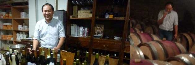 限定SALE安い サヴィニー・レ・ボーヌ レア・セレクション （フランス・赤ワイン） うきうきワインの玉手箱 - 通販 - PayPayモ プルミエ・クリュ レ・ヴェルジュレス 1984年 マグナムボトル ルー・デュモン セール新作