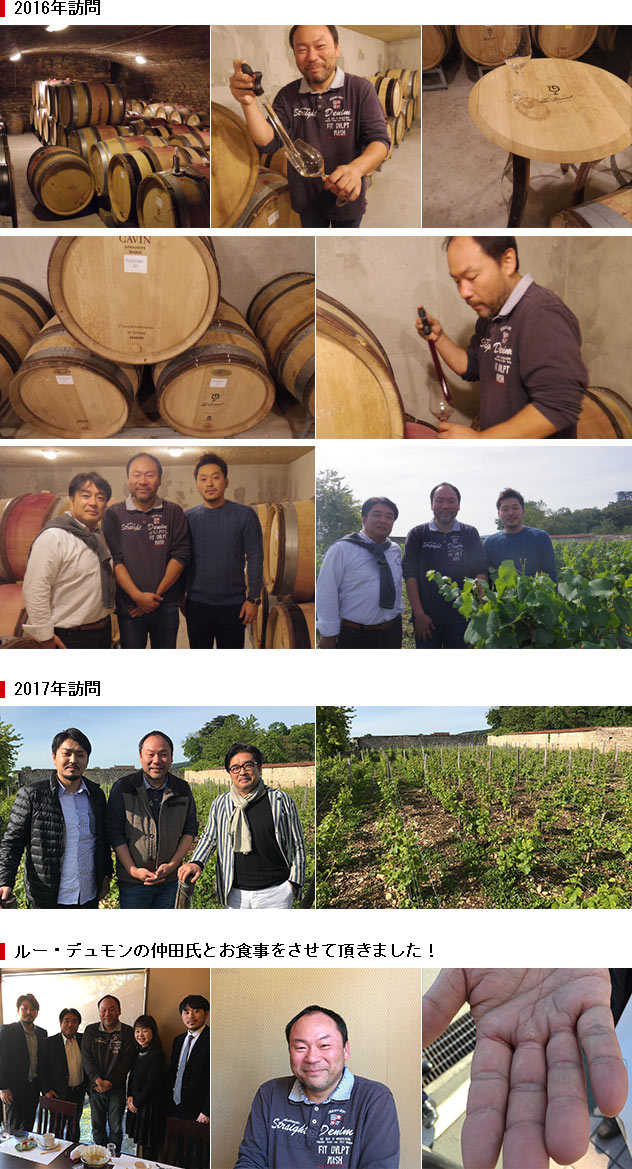 【本日限定】ブルゴーニュ ピノ・ノワール セレクション ブルゴーニュ ピノ ノワール 1997 蔵出し限定秘蔵品 ルー デュモン