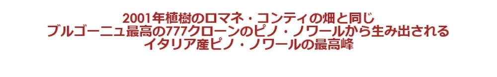 新品通販 ラ ピネタ 赤 2019年 ポデーレ モナステロ元詰 イタリア (IGT トスカーナ) 無清澄 無濾過 赤ワイン 750ml うきうきワインの玉手箱 - 通販 - PayPayモール 新作大人気