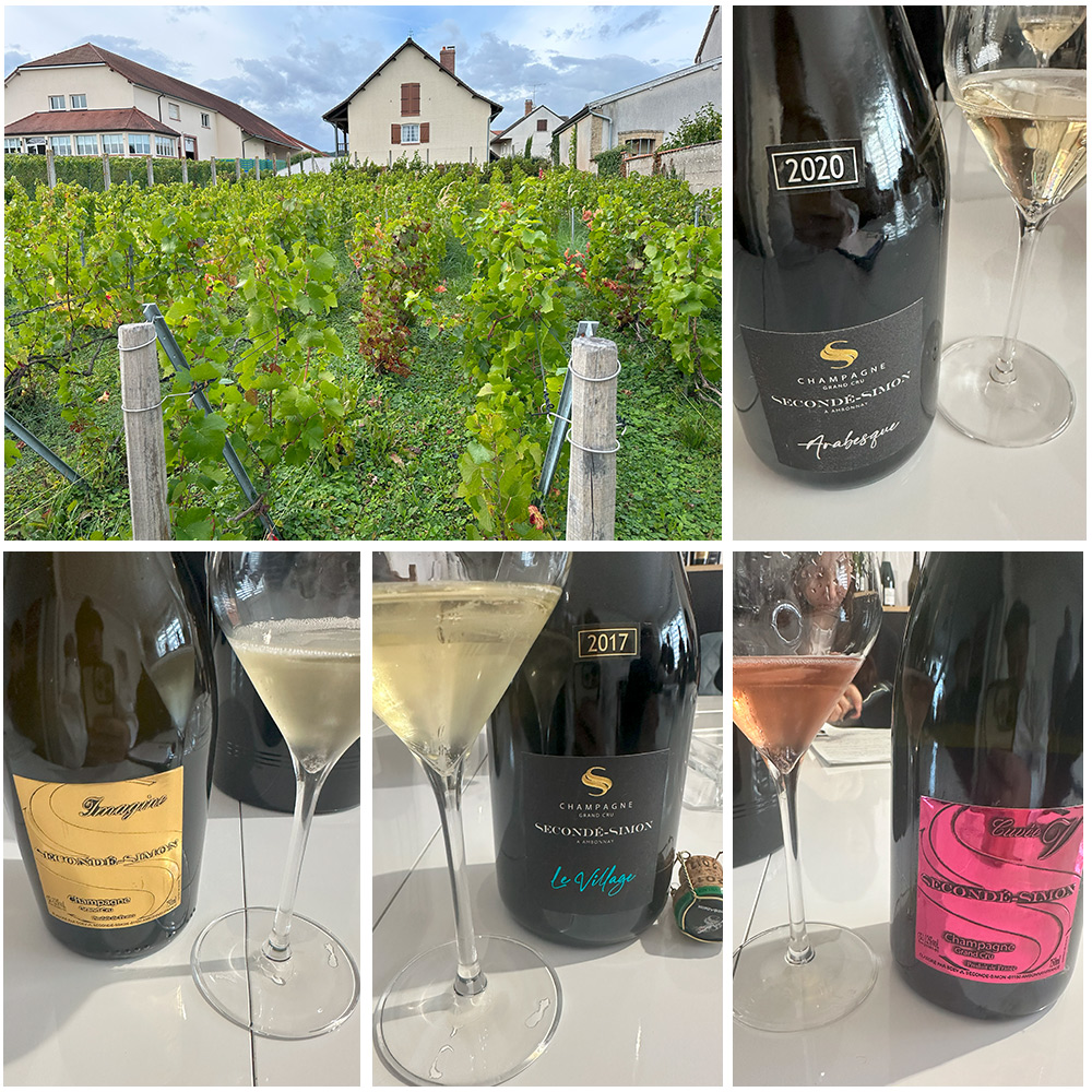 大型マグナム 木箱入り】グランクリュ デクセプション ド