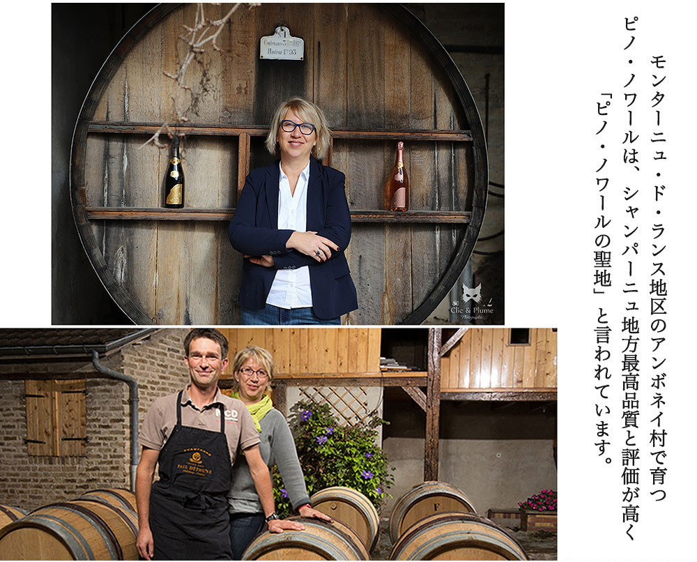 送料無料 正規品】【豪華アタッシュケース】ソウメイ ル セクス