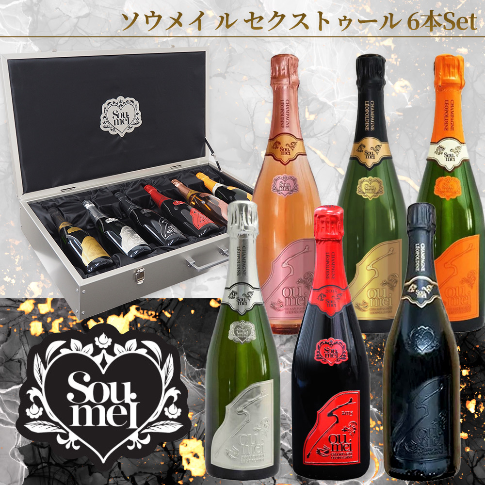 ソウメイアタッシュケース　空瓶6本セット 送料無料 正規品】【豪華アタッシュケース】ソウメイ ル セクス