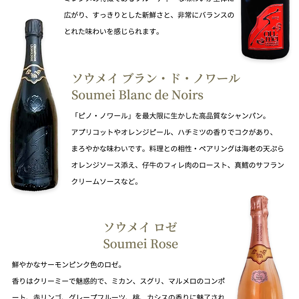 【専用】ソウメイアタッシュケース 送料無料 正規品】【豪華アタッシュケース】ソウメイ ル セクス