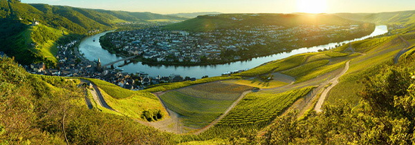 ピースポーター ミヒェルスベルク 2023年 クロスター醸造所元詰 ドイツ 白 甘口ワイン 