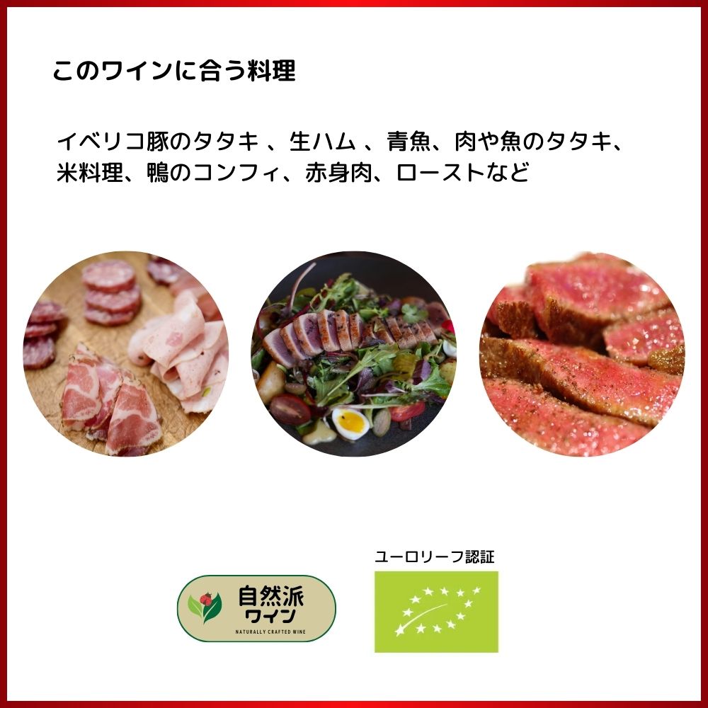 ジェン ワン ティント 2021 蔵出し作品 ボデガス ピケラス元詰 D.O.P