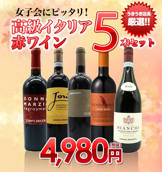 女子会にピッタリ！うきうき店長厳選！高級イタリア赤ワイン5本セット